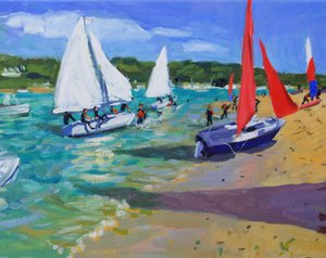 القوارب الشراعية ، Salcombe ،